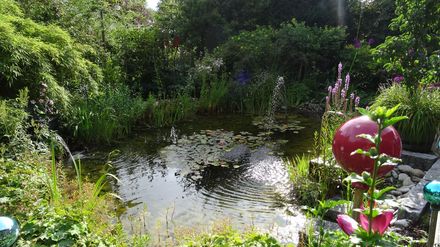 Ferienwohnung Schwangau Teich